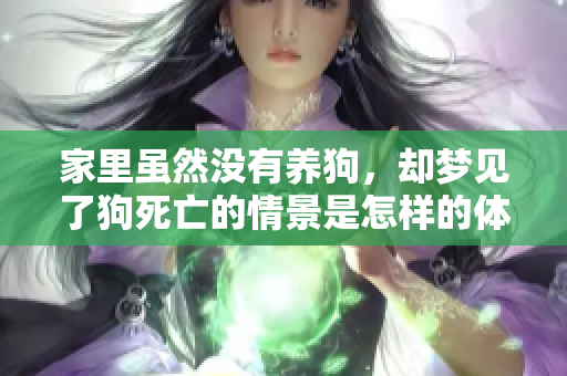 家里虽然没有养狗，却梦见了狗死亡的情景是怎样的体验呢