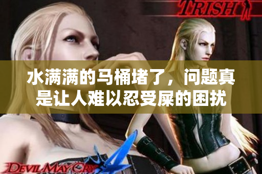 水满满的马桶堵了，问题真是让人难以忍受屎的困扰