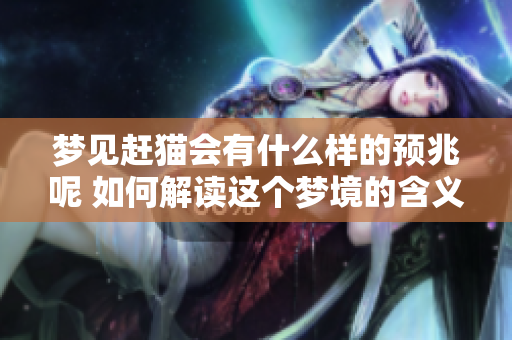 梦见赶猫会有什么样的预兆呢 如何解读这个梦境的含义