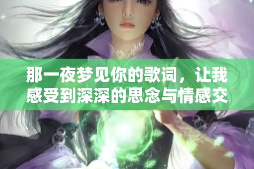 那一夜梦见你的歌词，让我感受到深深的思念与情感交织