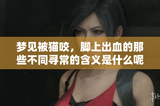 梦见被猫咬，脚上出血的那些不同寻常的含义是什么呢
