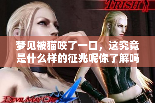 梦见被猫咬了一口，这究竟是什么样的征兆呢你了解吗