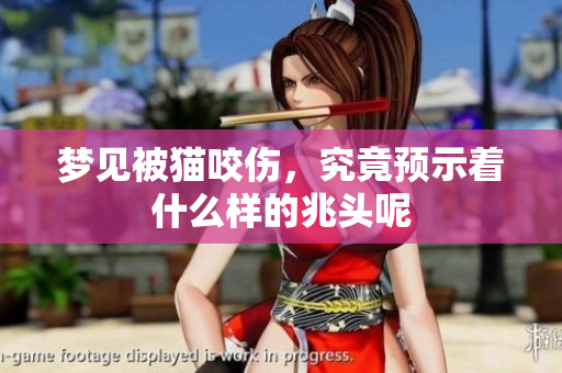 梦见被猫咬伤，究竟预示着什么样的兆头呢