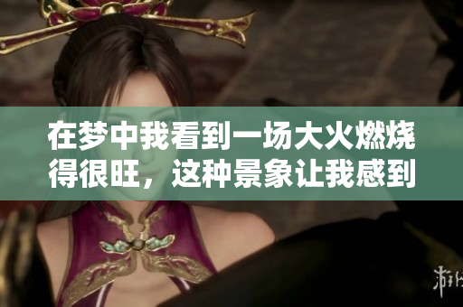 在梦中我看到一场大火燃烧得很旺，这种景象让我感到震惊