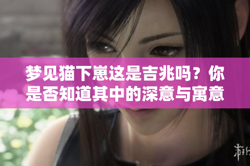 梦见猫下崽这是吉兆吗？你是否知道其中的深意与寓意呢？