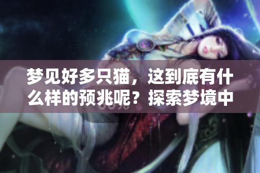 梦见好多只猫，这到底有什么样的预兆呢？探索梦境中的深层含义