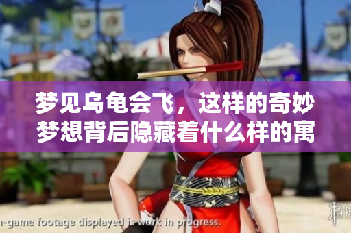 梦见乌龟会飞，这样的奇妙梦想背后隐藏着什么样的寓意呢