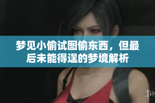 梦见小偷试图偷东西，但最后未能得逞的梦境解析