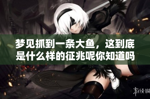 梦见抓到一条大鱼，这到底是什么样的征兆呢你知道吗