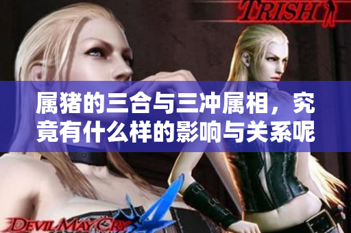 属猪的三合与三冲属相，究竟有什么样的影响与关系呢