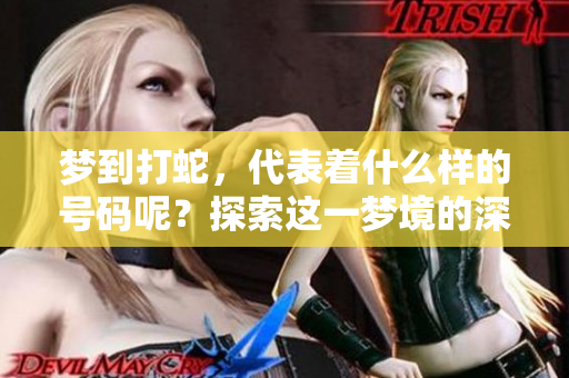 梦到打蛇，代表着什么样的号码呢？探索这一梦境的深层含义与启示