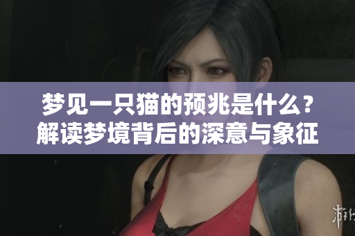 梦见一只猫的预兆是什么？解读梦境背后的深意与象征