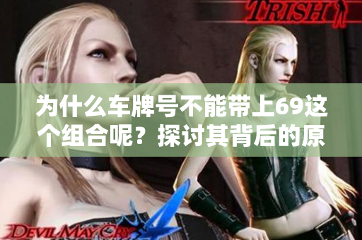 为什么车牌号不能带上69这个组合呢？探讨其背后的原因与含义。