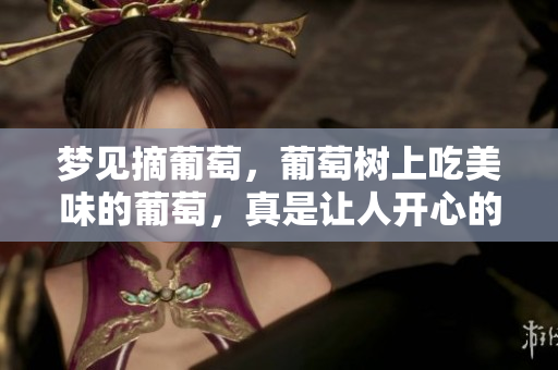 梦见摘葡萄，葡萄树上吃美味的葡萄，真是让人开心的梦境！