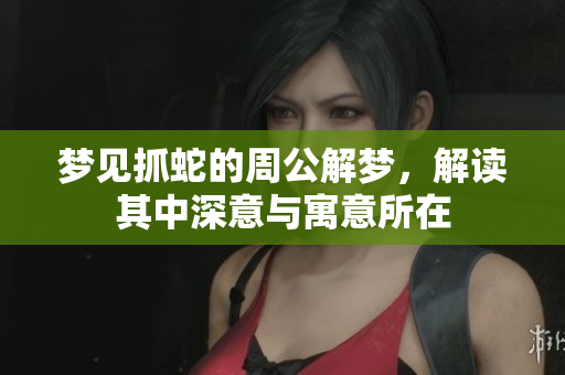 梦见抓蛇的周公解梦，解读其中深意与寓意所在