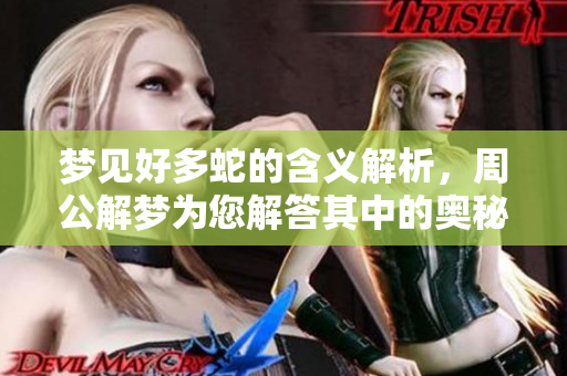 梦见好多蛇的含义解析，周公解梦为您解答其中的奥秘