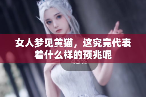 女人梦见黄猫，这究竟代表着什么样的预兆呢
