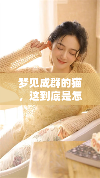 梦见成群的猫，这到底是怎样的事情呢？我们来探索一下它背后的含义。