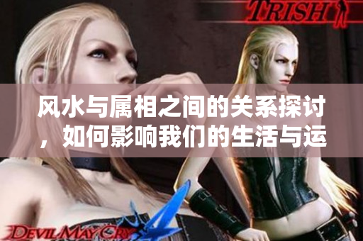 风水与属相之间的关系探讨，如何影响我们的生活与运势