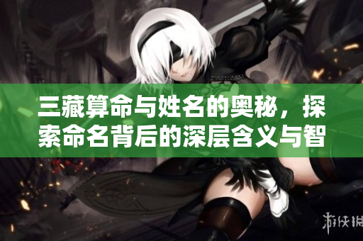 三藏算命与姓名的奥秘，探索命名背后的深层含义与智慧