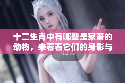 十二生肖中有哪些是家畜的动物，来看看它们的身影与特点吧