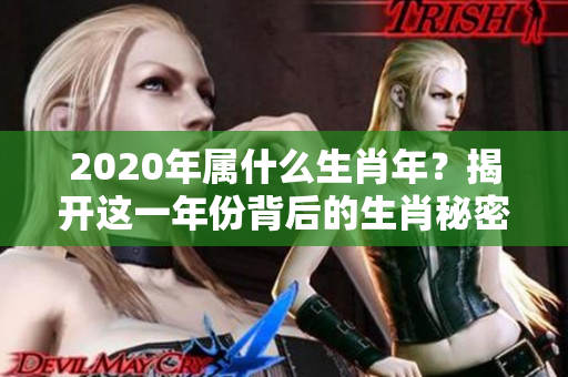 2020年属什么生肖年？揭开这一年份背后的生肖秘密。
