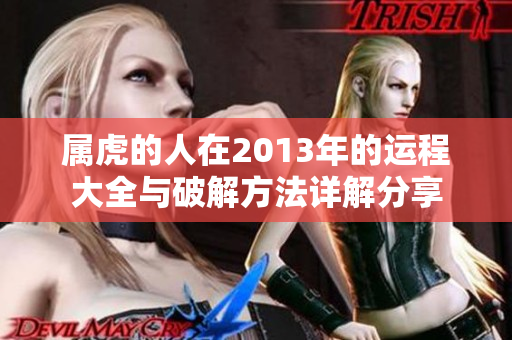 属虎的人在2013年的运程大全与破解方法详解分享