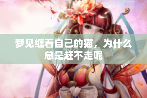 梦见缠着自己的猫，为什么总是赶不走呢