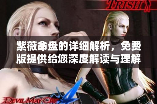 紫薇命盘的详细解析，免费版提供给您深度解读与理解