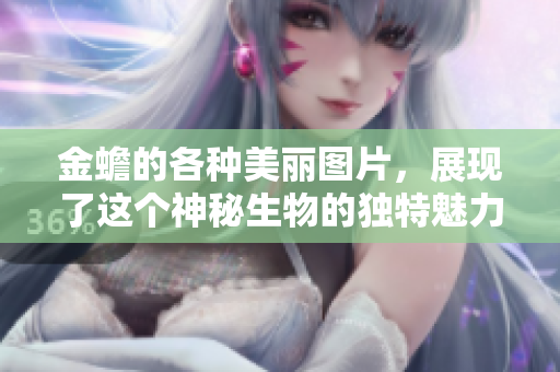 金蟾的各种美丽图片，展现了这个神秘生物的独特魅力