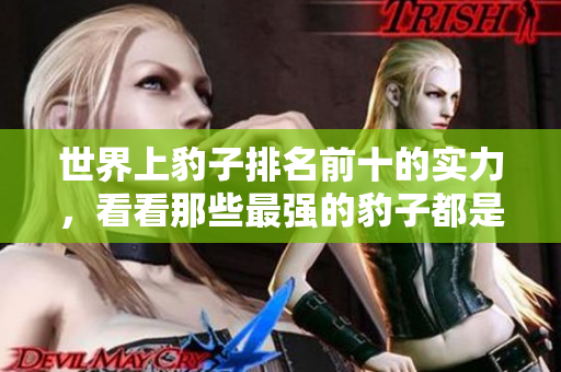 世界上豹子排名前十的实力，看看那些最强的豹子都是谁