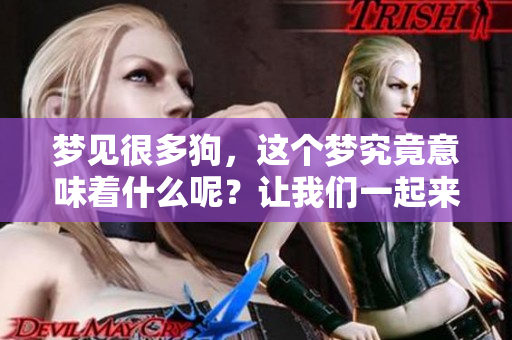 梦见很多狗，这个梦究竟意味着什么呢？让我们一起来探索其中的奥秘吧！