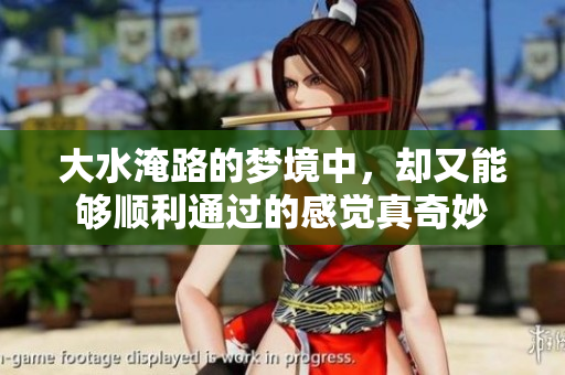 大水淹路的梦境中，却又能够顺利通过的感觉真奇妙