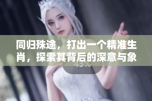 同归殊途，打出一个精准生肖，探索其背后的深意与象征