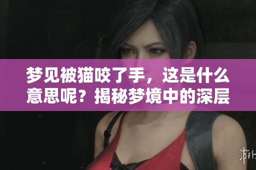 梦见被猫咬了手，这是什么意思呢？揭秘梦境中的深层含义
