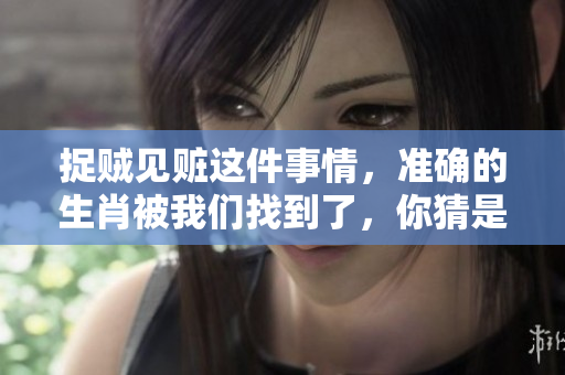 捉贼见赃这件事情，准确的生肖被我们找到了，你猜是哪个呢