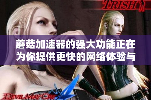 蘑菇加速器的强大功能正在为你提供更快的网络体验与便捷服务
