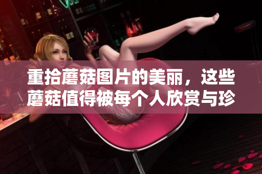 重拾蘑菇图片的美丽，这些蘑菇值得被每个人欣赏与珍藏