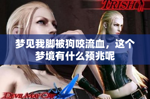 梦见我脚被狗咬流血，这个梦境有什么预兆呢