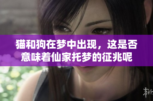 猫和狗在梦中出现，这是否意味着仙家托梦的征兆呢