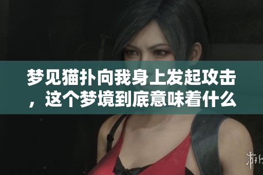 梦见猫扑向我身上发起攻击，这个梦境到底意味着什么呢