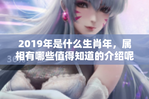 2019年是什么生肖年，属相有哪些值得知道的介绍呢