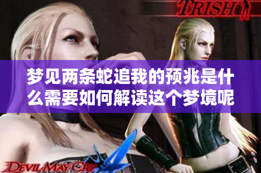 梦见两条蛇追我的预兆是什么需要如何解读这个梦境呢
