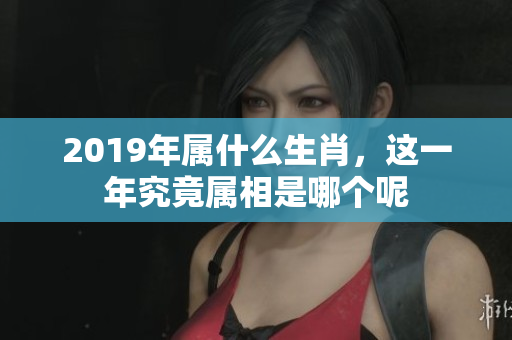 2019年属什么生肖，这一年究竟属相是哪个呢