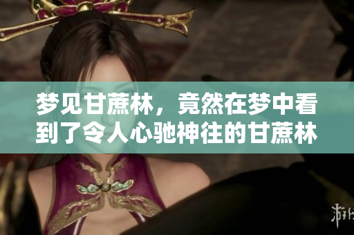 梦见甘蔗林，竟然在梦中看到了令人心驰神往的甘蔗林景象