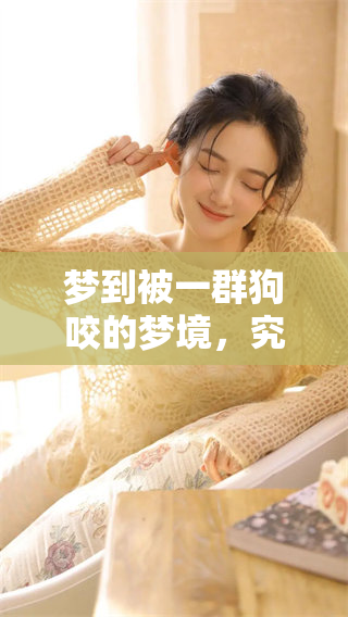 梦到被一群狗咬的梦境，究竟传达了怎样的含义呢