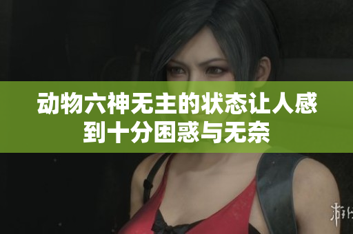 动物六神无主的状态让人感到十分困惑与无奈