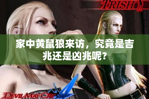 家中黄鼠狼来访，究竟是吉兆还是凶兆呢？