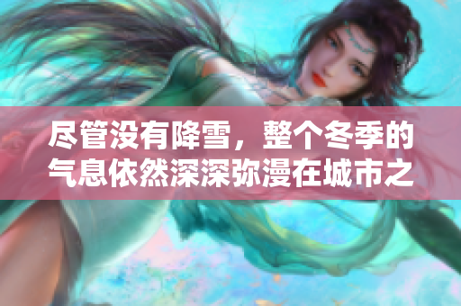 尽管没有降雪，整个冬季的气息依然深深弥漫在城市之中