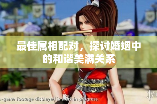 最佳属相配对，探讨婚姻中的和谐美满关系